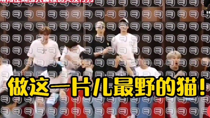 无法预测的文俊尼！boo姓成员：他最吵了！做这一片儿最野的猫！