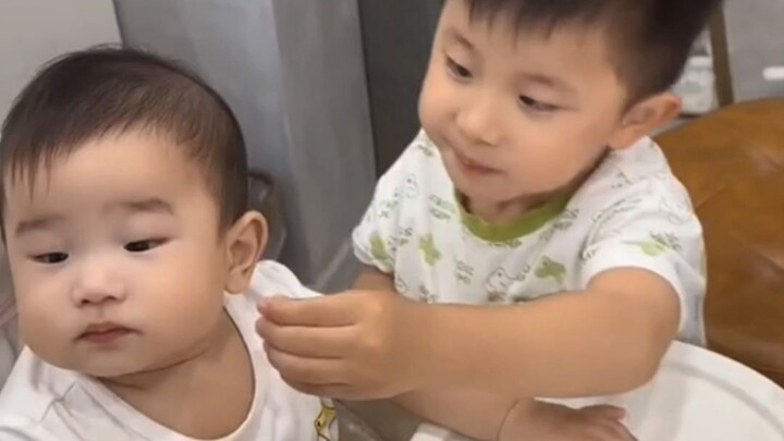 The Hot-tempered Brother and His Easygoing Younger Brother