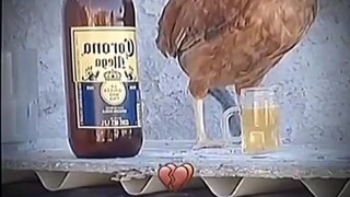 when the chicken drunk