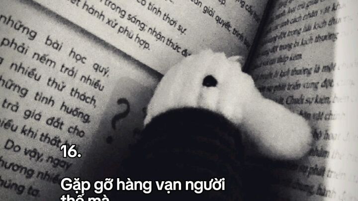 giữ bóng dáng Hàng Hàng trong ❤️