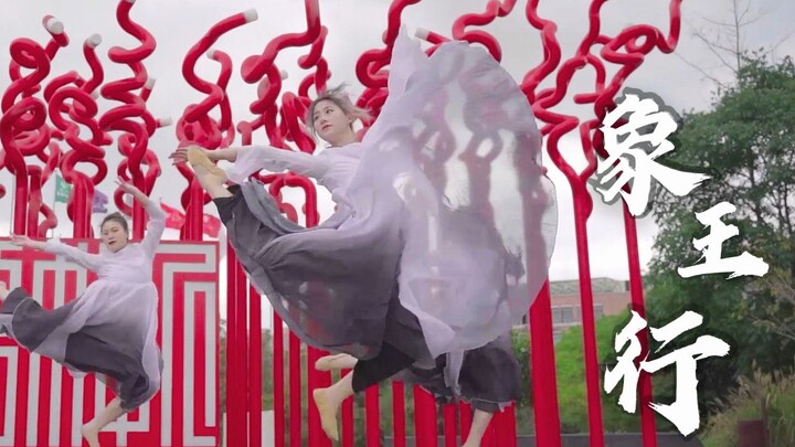 国风浙师丨校艺术团舞蹈队演绎中国舞《象王行》