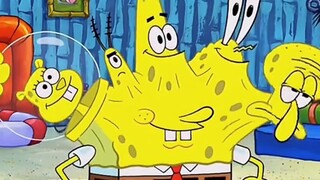 I smell the strong fragrance of Daqianlu, I'm going to be a sponge