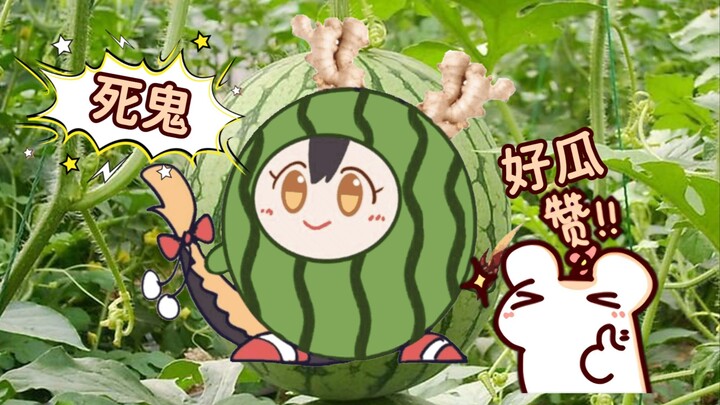 【Bison仓鼠】发出死鬼声音的瓜就是好瓜