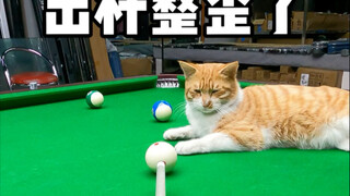 Đưa gậy bị lệch à?