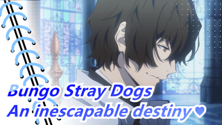 Bungo Stray Dogs|[Cosplay] Story of Dazai -An inescapable destiny ♥