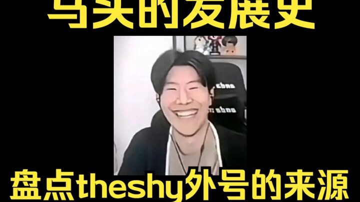 Điểm lại nguồn gốc các biệt danh của TheShy - Phần 1