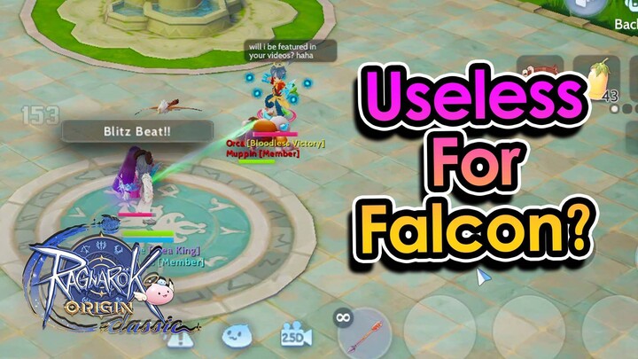[ROOC] Falcon Hunters Have Been Building Wrong This Whole Time? | King Spade