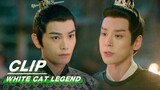 Qiu Qingzhi Arrived in Time | White Cat Legend EP14 | 大理寺少卿游 | iQIYI