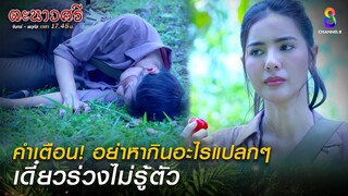 คำเตือน อย่าหากินอะไรแปลกๆ เดี๋ยวร่วงไม่รู้ตัว  | HIGHLIGHT ตะนาวศรี EP18 | ช่อง8