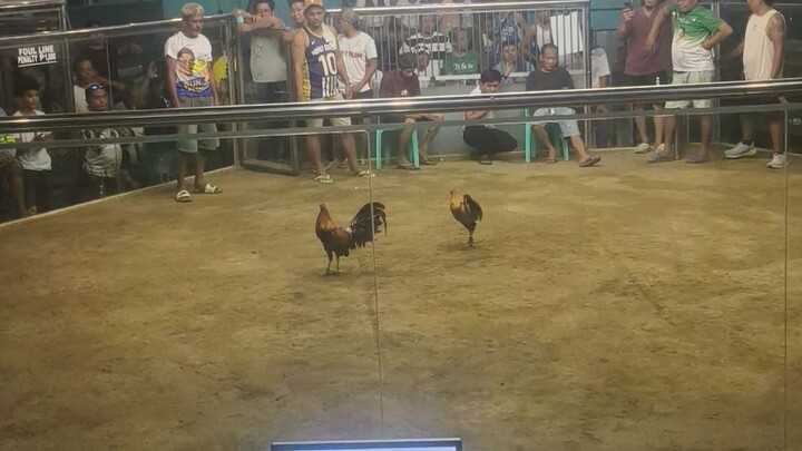2 wins taparay champion 2nd fight @northern amusement center bogo city. score:W W