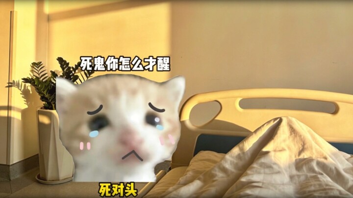 When you wake up thanks to Dayun Chuangfei, only to find your arch nemesis...