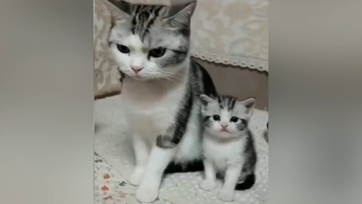 “Melahirkan itu kan cuma Ctrl C + Ctrl V?”