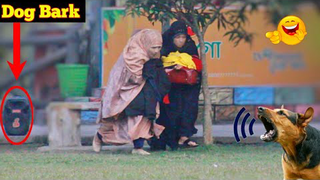 รวมคลิปตลก EP 54 ไหนบอกว่าไม่กลัวหมาไง