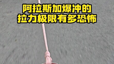 How many jin of pull force does Alaska generate during a burst?