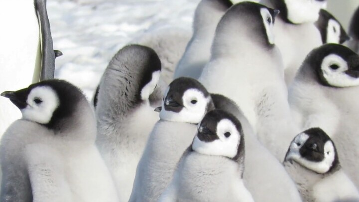 我们真的长得都不一样的