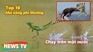 Top 10 khả năng phi thường độc nhất vô nhị ở giới động vật mà con người mơ ước