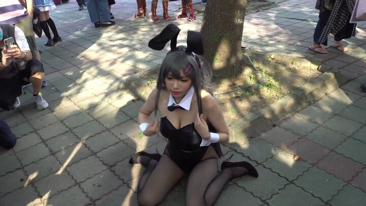 Cosplay kelinci lucu cwt52