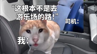 当我想去游乐场结果坐上黑车
