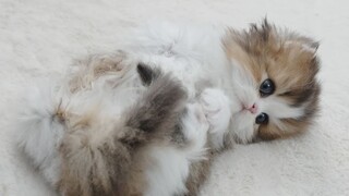 She seemed to know that she was quite pretty!