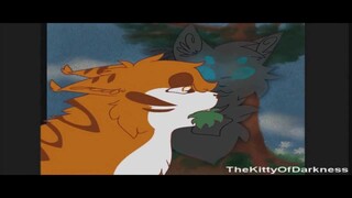 COMPLETED Warriors - Camisado MAP [HD]