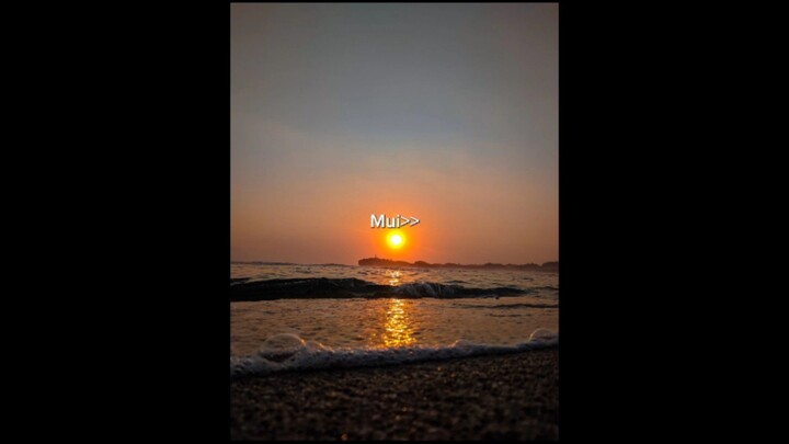 Mui ku 💗