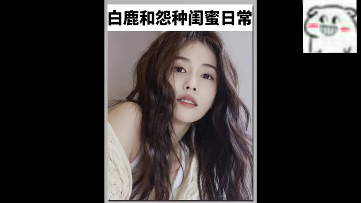 วีถีชีวิตสุดฮาของไป๋ลู่และผู้ช่วยที่เป็นเพื่อนซี้ ผู้นำเทรนด์พาเพื่อนซี้รวยในวงการบันเทิงจีน น่าอิจฉ