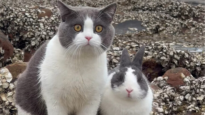 Gay men getting closer to lesbians