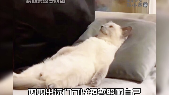 I feel like a pet my mom’s raising!