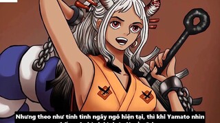 Mục Đích Của Aokiji Khi Đến Wano - Yamato Sẽ Vào Băng Mũ Rơm _ 12