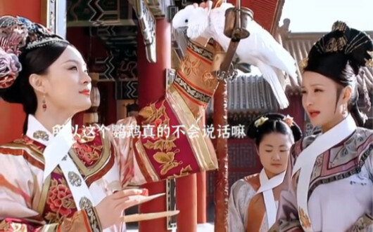 The parrot the Emperor gifted to Huanhuan—whether it can’t speak or for some other reason—never utte