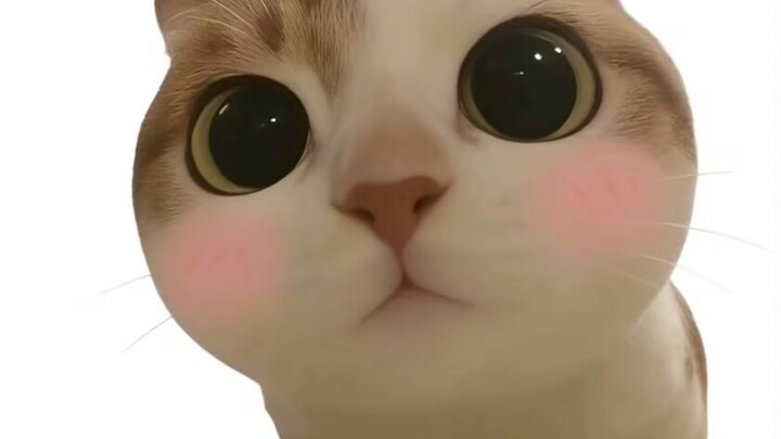 Girls' childhood sex education...