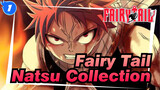 Fairy Tail|Natsu Personal Classic Combat Collection!_WB1