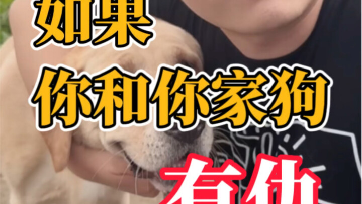 If you're at odds with your dog