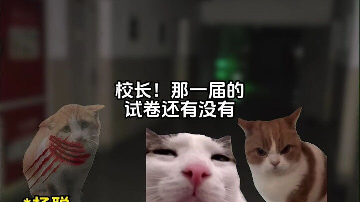 Xem bói mà tình cờ phá luôn một vụ án? 7