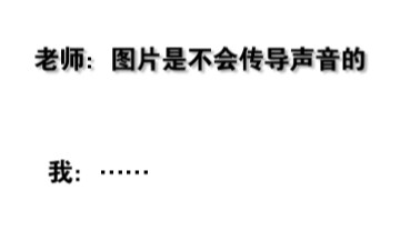 图片是不会传导声音的（猫鼠篇）1