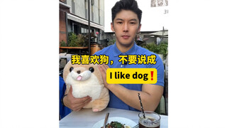 Aku suka anjing, jangan bilang aku suka anjing❗️