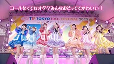 SWEET STEADY SWEET BLOOM LIVE