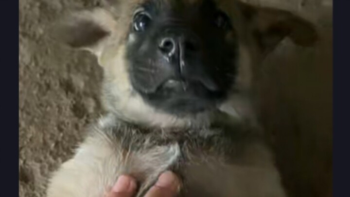 الشاذون وغير الشاذين صمتوا جميعًا.