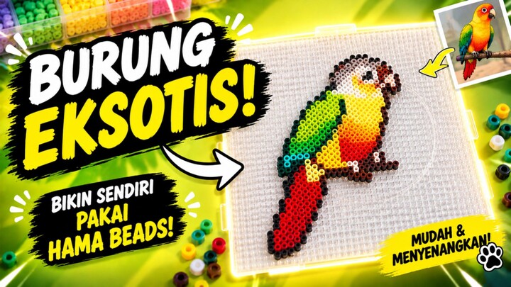 Bikin Burung Warna-Warni dari Hama Beads!