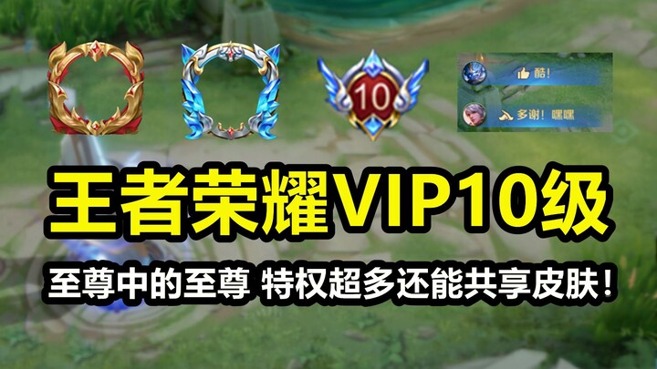 王者荣耀VIP10级来了！这才是真正的尊贵！人群之中最闪耀！