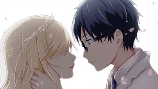 [AMV]Healing moments in <Your Love in April>