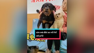 Nhà toàn hổ cái thế này e sống sao đây đại ka....👿cuoibebung ❤️❤️