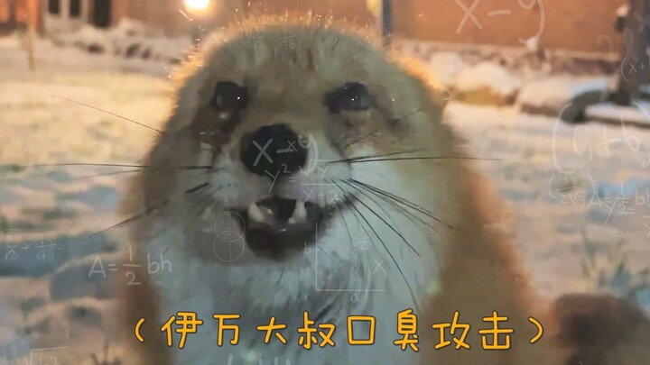 Fox: What the heck are these Russians eating tonight?