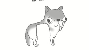 วันนี้ไม่ปกป้องชิวาวาแล้วล่ะ