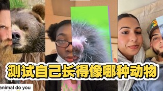 一款可以测试自己长得像哪种动物的特效