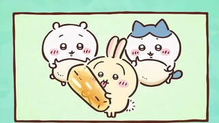 Chiikawa self-made Chinese subtitles Episode 260 "Pure dew/horn"