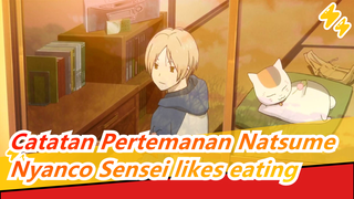 Catatan Pertemanan Natsume|Di tahun baru mari menjadi pria gemuk yang bahagia juga！