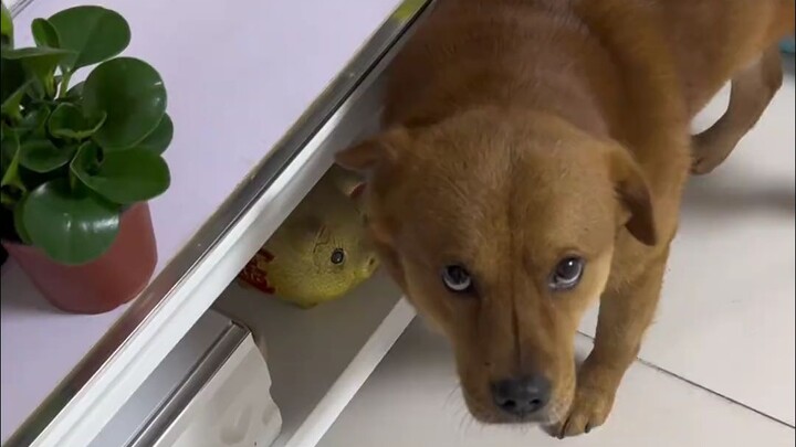 Enak banget! Kena pukul, kan! Biar kamu nggak salah paham sama aku lagi!