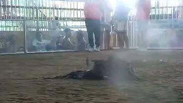 2x winner Bulag pah Isang Mata