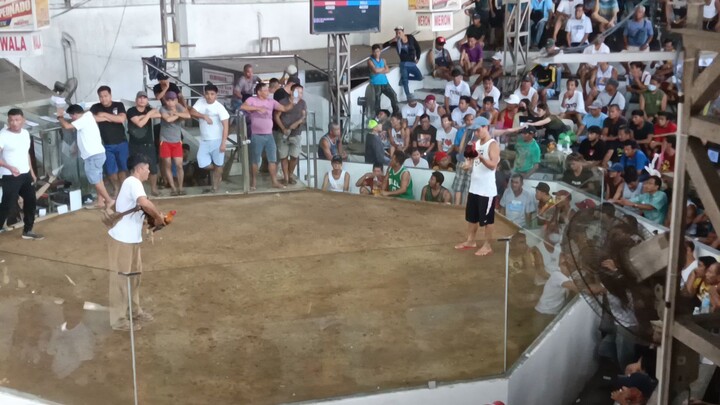 Nov 2 . LOSE .. 7months old ,